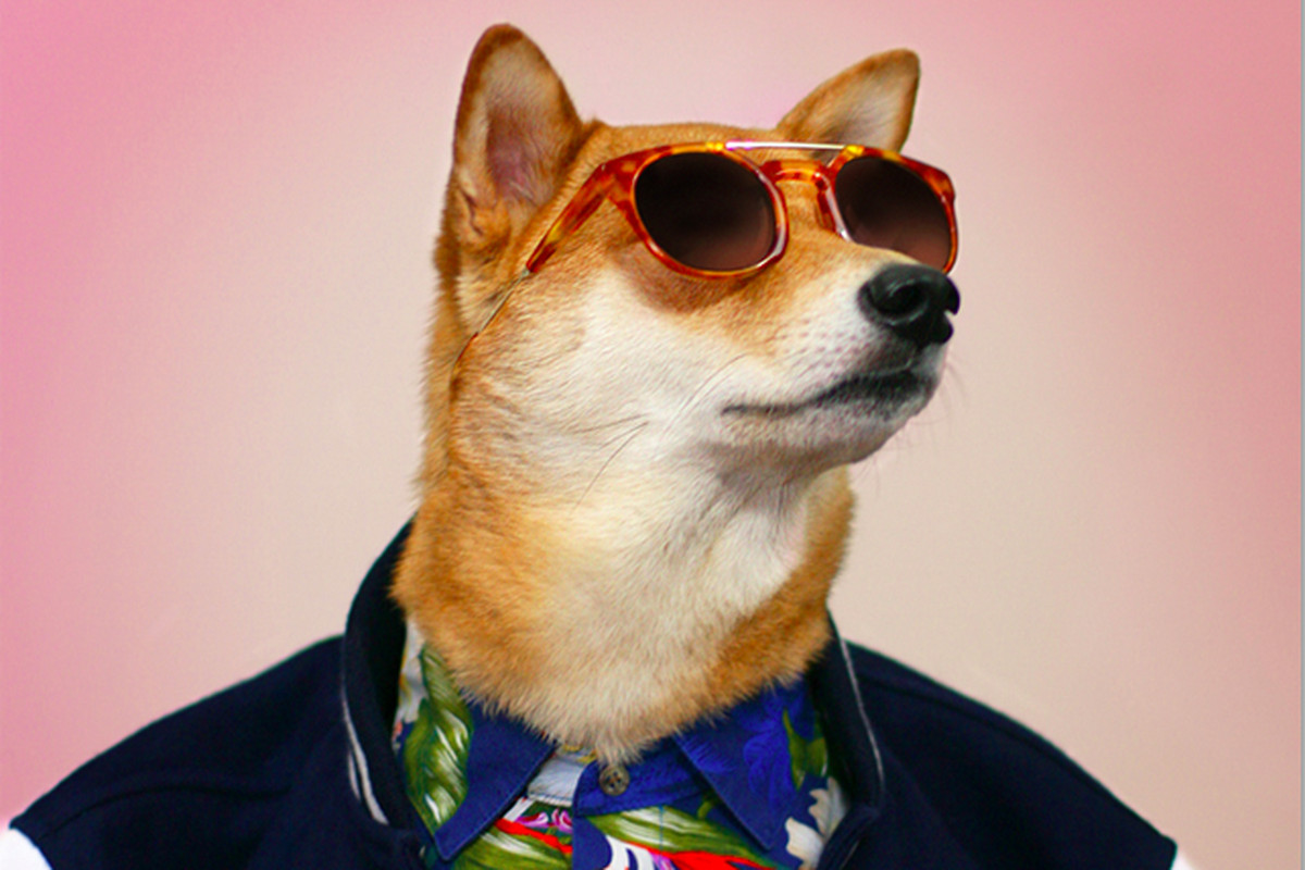 UpDog Logo